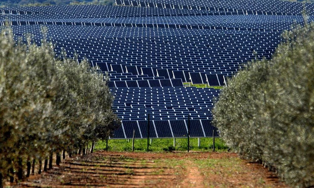 Κοζάνη: Εργατικό δυστύχημα σε φωτοβολταϊκό πάρκο - Νεκρός 37χρονος εργάτης